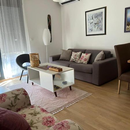 Lovely Pink Flat Apartment Podgoriţa Exterior foto