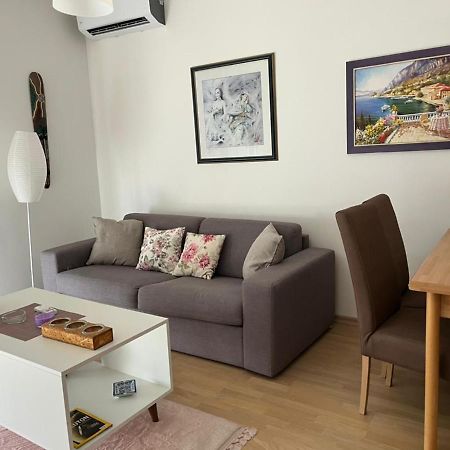 Lovely Pink Flat Apartment Podgoriţa Exterior foto