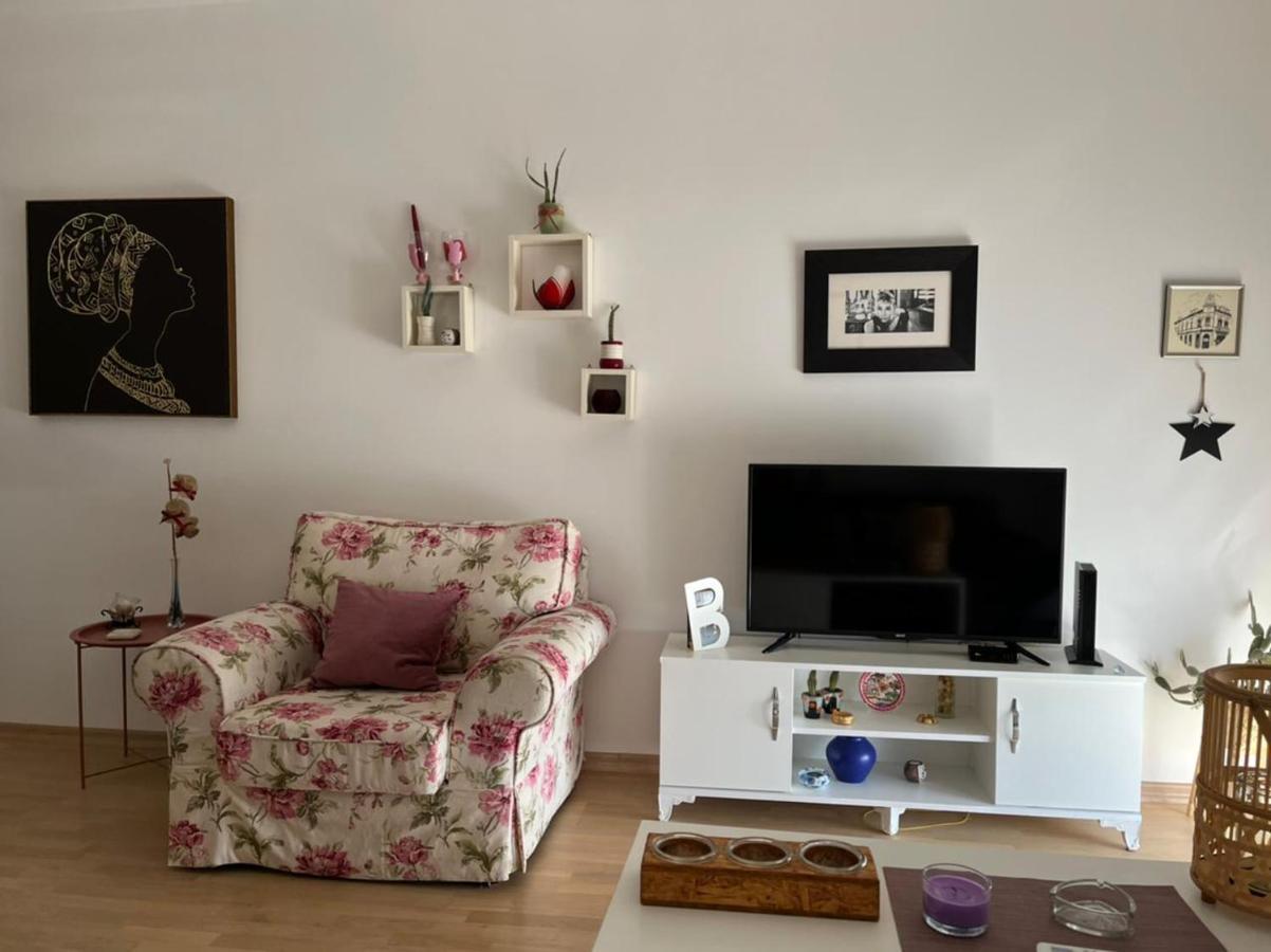 Lovely Pink Flat Apartment Podgoriţa Exterior foto