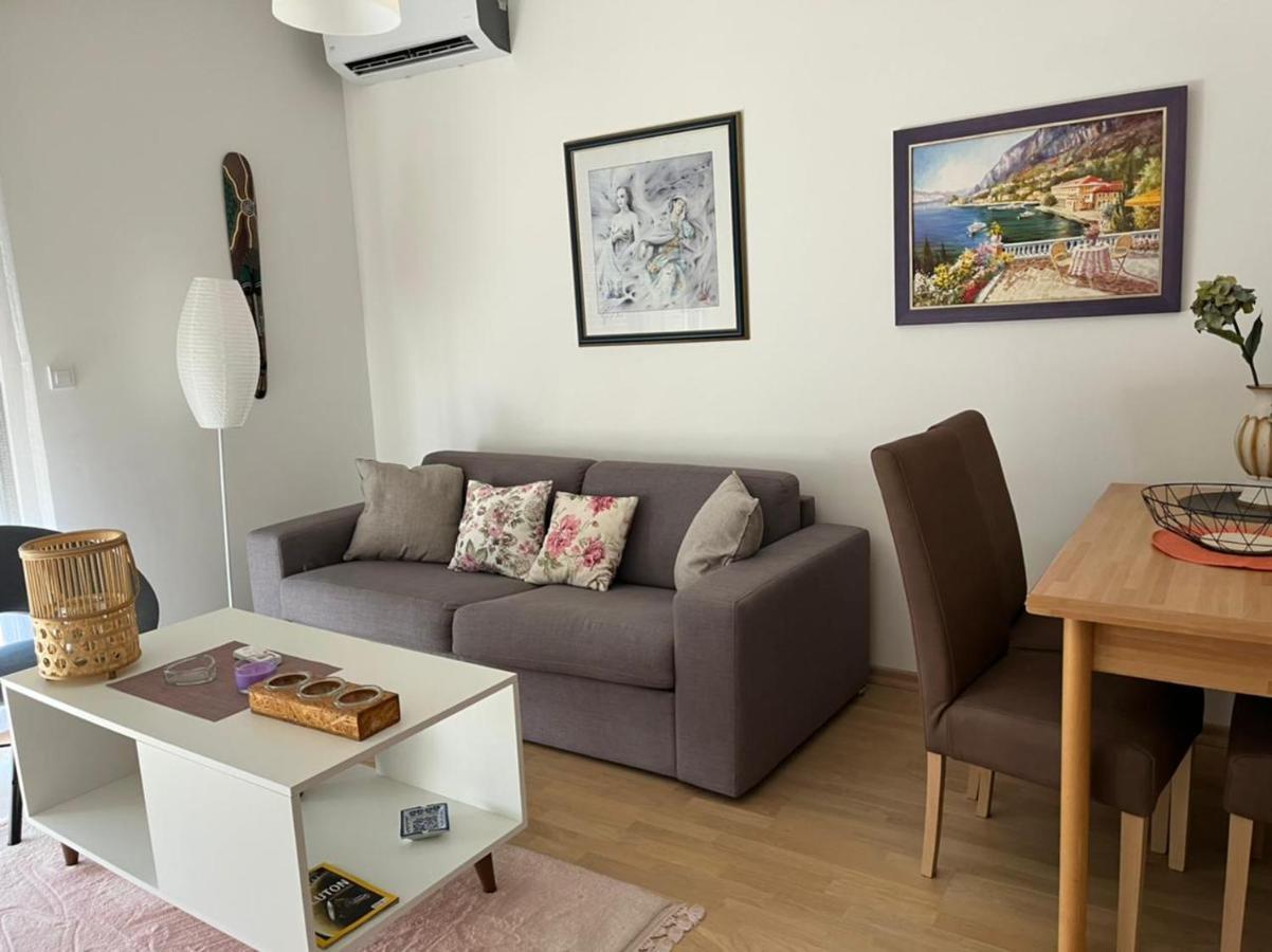 Lovely Pink Flat Apartment Podgoriţa Exterior foto